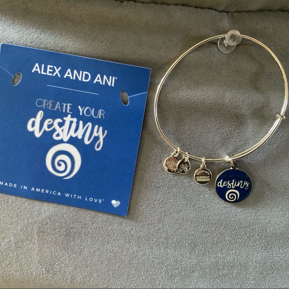 Destiny bracelet from Alex and Ani.